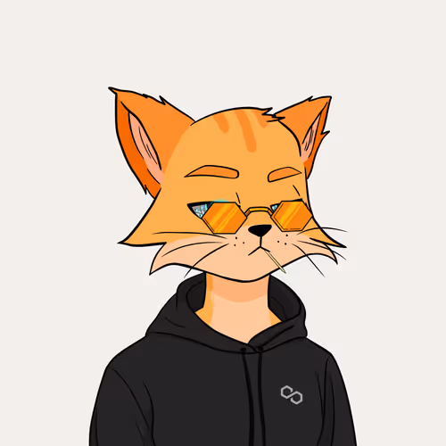 Reality Kingdom Reality Cats