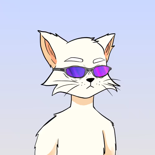 Reality Kingdom Reality Cats