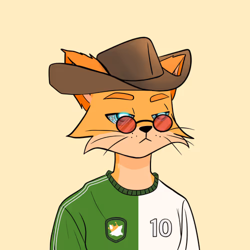 Reality Kingdom Reality Cats