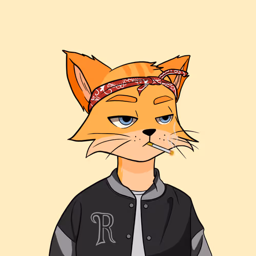 Reality Kingdom Reality Cats