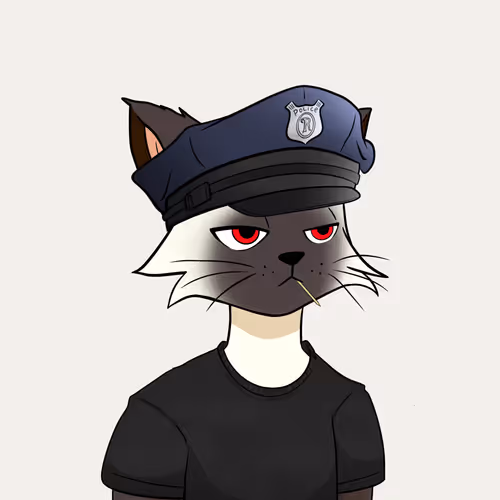 Reality Kingdom Reality Cats