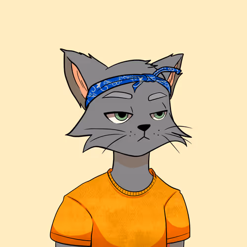Reality Kingdom Reality Cats