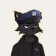 5263