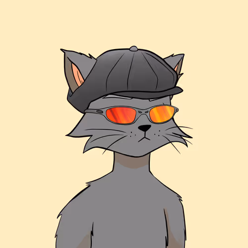 Reality Kingdom Reality Cats