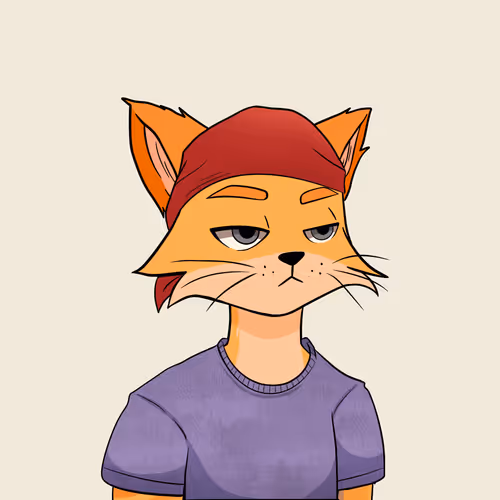Reality Kingdom Reality Cats