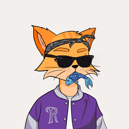 Reality Kingdom Reality Cats