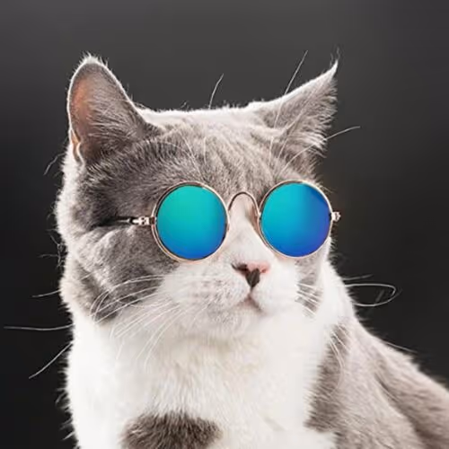 CatyoL
