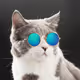 CatyoL