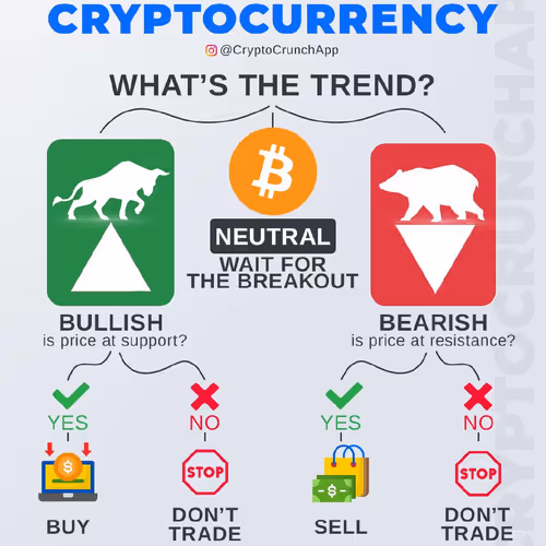 kingjunaid12.lens-Collect-2362