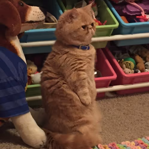 Unidentified contract