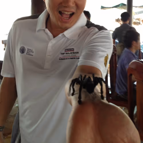 spider