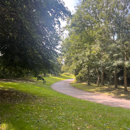 zospours.lens-Collect-4825