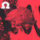 test polygon