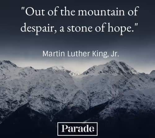 alongside.lens-Collect-40