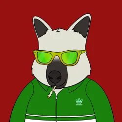 Roo #5492