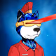 Rekt Dogs #7648