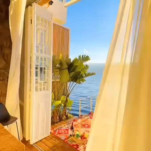 tepungterigu29.lens-Collect-813