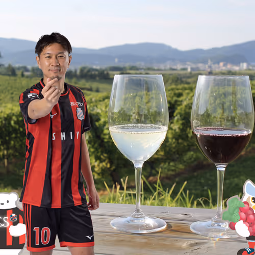 Series of Hokkaido Yoichi Town Visit Commemorative Consadole NFT 2023