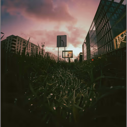 chaoticmonk.lens-Collect-3823