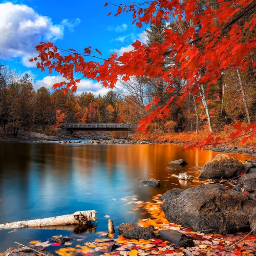 The nature