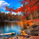 The nature