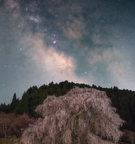 danji.lens-Collect-37