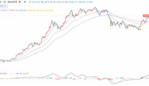 20212.lens-Collect-900