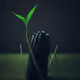 Touch the grass