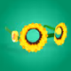 Sunflower Glasses