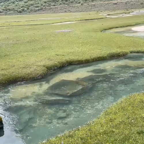 today.lens-Collect-474