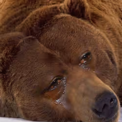 456422815968331430207