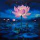 Pink Lotus