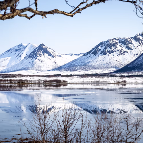 cordt.lens-Collect-605