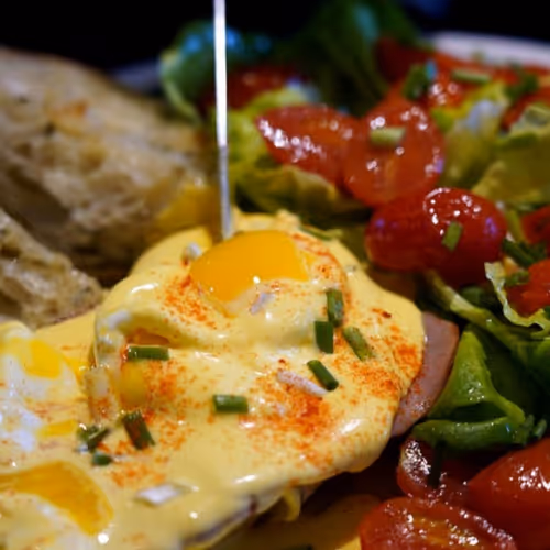 curriculum.lens-Collect-310