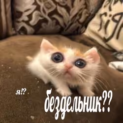 YA?