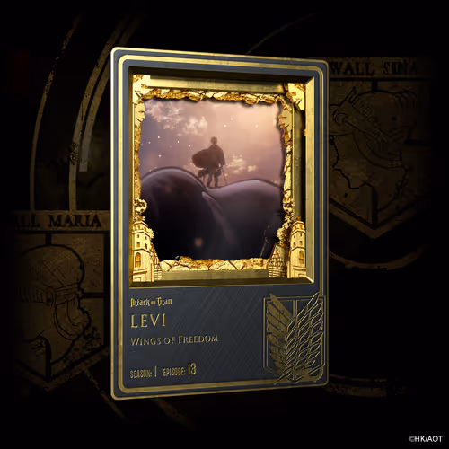 Item #41 Media