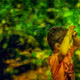 Colours of Childhood