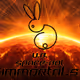 UB SPACE-BOTS IMMORTALS
