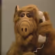 Alf Life