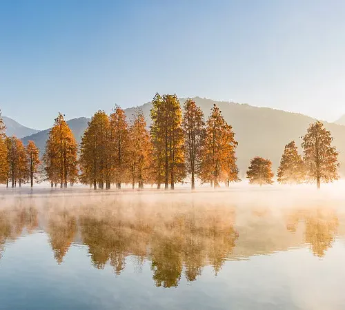 oooo3.lens-Collect-1148