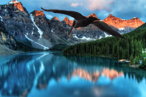 Item #80879840001451919384001045261058892020911433267621717443310830747649 Media