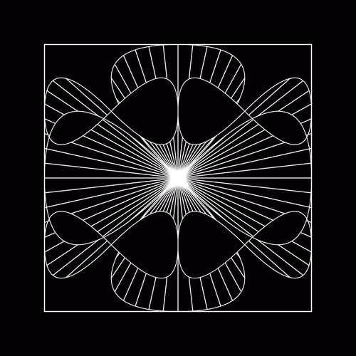 shlippin.lens-Collect-48