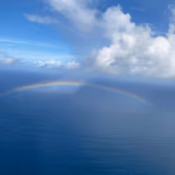 アイテム メディア プレースホルダー