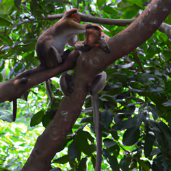 115617186630930112330948609445402711526654155629410793510800163096344460787746