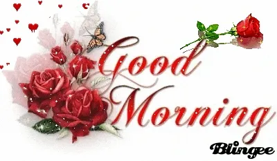 hongxinh321.lens-Collect-191