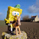 Quijote Bob
