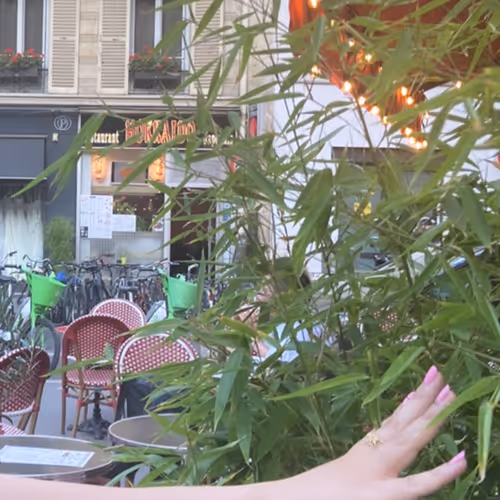 jessyjeanne.lens-Collect-11569