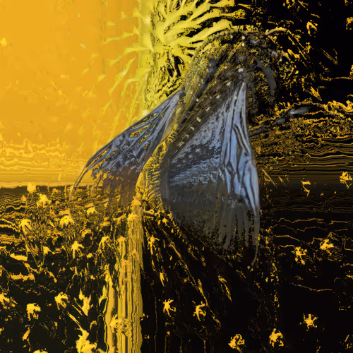 ekeko.lens-Collect-338