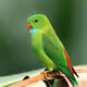 Test this