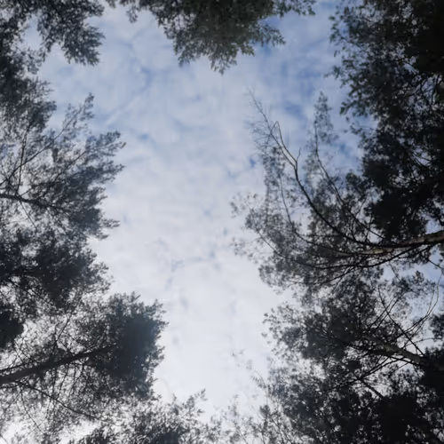 MyNature